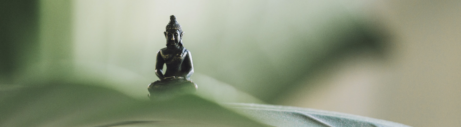 Photo by Samuel Austin on Unsplash